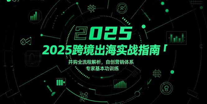 (15503期)2025跨境出海实战指南,并购全流程解析,自创营销体系,专家基本功训练-网赚副业网