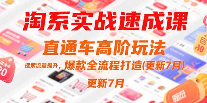 (15374期)淘系实战速成课,直通车高阶玩法,搜索流量提升,爆款全流程打造(更新7月)-网赚副业网