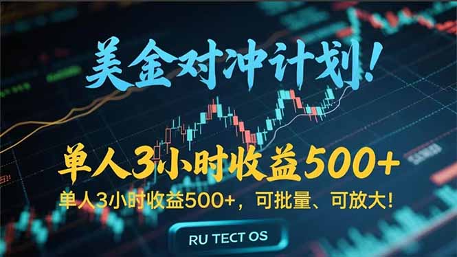 (15321期)长久稳定的撸美金项目,平均3小时收入 500+,可公司实地考察实地操作!-网赚副业网