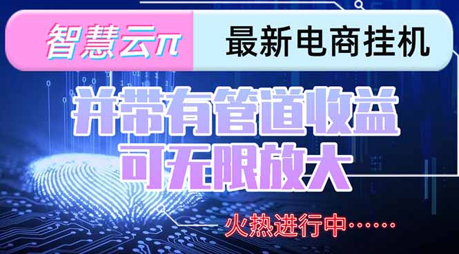 (15314期)智慧云π电脑挂机单机每天收益300—500+ 并带有团队管道收益 可无限放大-网赚副业网