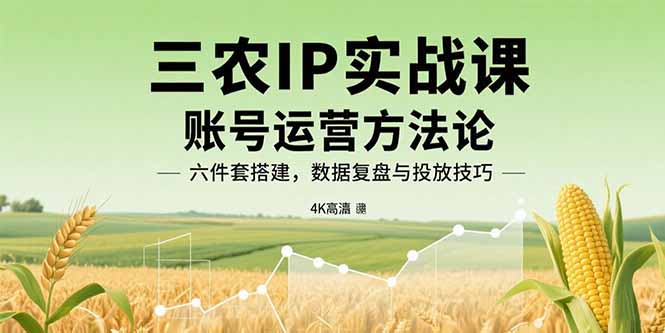 （15864期）三农IP实战课：账号运营方法论，六件套搭建，数据复盘与投放技巧-网赚副业网