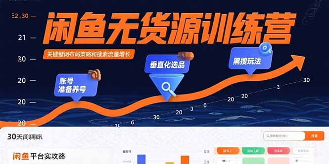 (15698期)闲鱼无货源训练营:账号准备养号/垂直化选品/黑搜玩法,0基础30天盈利指南-网赚副业网