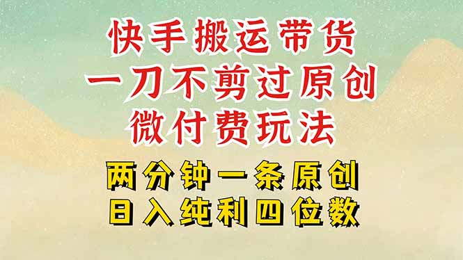 （15577期）快手黑科技搬运带货，一刀不剪过原创，微付费投流玩法，轻松日入四位数...-网赚副业网