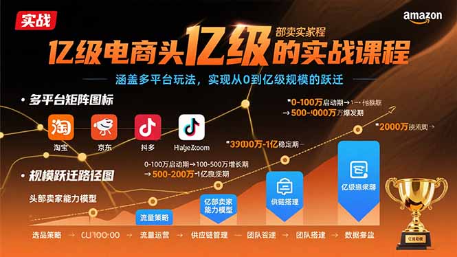 （15803期）亿级电商头部卖家的实战课程：涵盖多平台玩法，实现从0到亿级规模的跃迁-网赚副业网