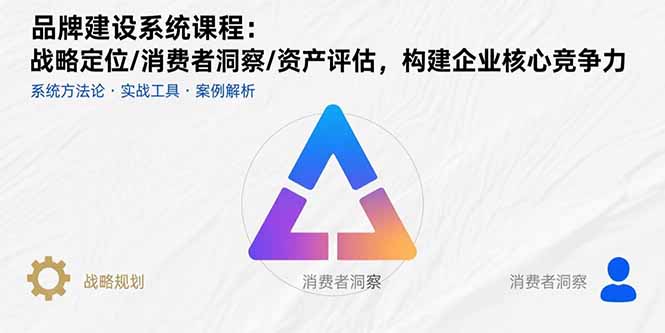 (15772期)品牌建设系统课程:战略定位/消费者洞察/资产评估,构建企业核心竞争力-网赚副业网