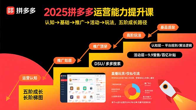 (15826期)2025拼多多运营能力提升课:认知→基础→推广→活动→玩法,五阶成长路径-网赚副业网