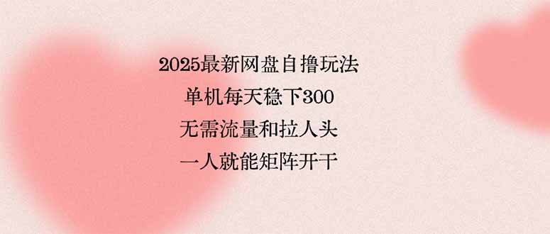 (15831期)2025最新网盘自撸玩法,单机每天稳下3张,无需流量和拉人头,一个人就...-网赚副业网