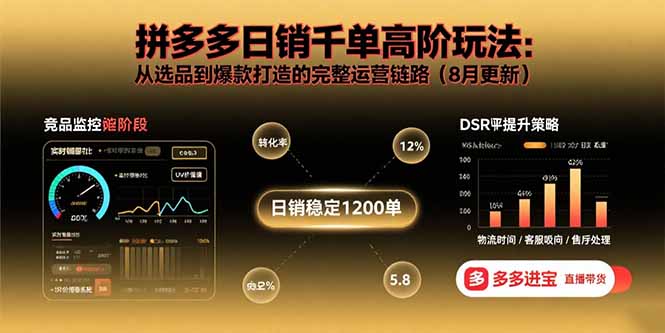 （15850期）拼多多日销千单高阶玩法：从选品到爆款打造的完整运营链路（8月更新）-网赚副业网