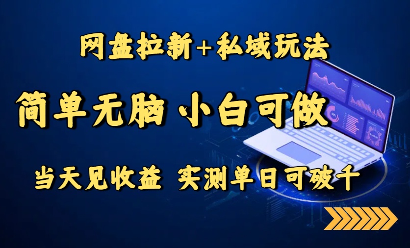 (15744期)网盘拉新+私域玩法,简单无脑,小白可做,当天见收益,实测单日可破千-网赚副业网