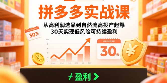 (15586期)拼多多实战课:从高利润选品到自然流高投产起爆 30天实现低风险可持续盈利-网赚副业网