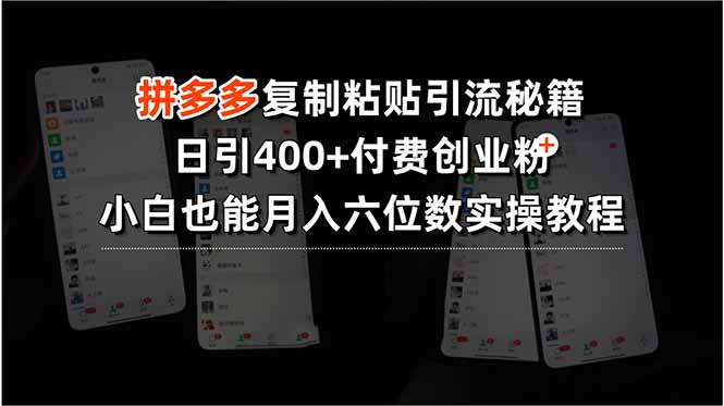 (15613期)拼多多复制粘贴引流秘籍,日引400+付费创业粉,小白也能月入六位数实操...-网赚副业网