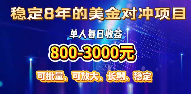 (15782期)稳定8年的美金对冲创业项目,单人每日收益800-3000,小众暴力项目-网赚副业网