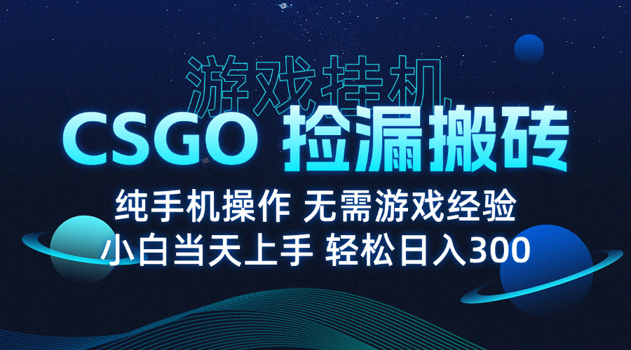 (15820期)8月最新游戏搬砖,CSGO纯挂机,不需要玩游戏,实现真挂机,月入1W+-网赚副业网