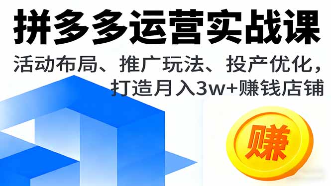 (16135期)拼多多运营实战课,活动布局、推广玩法、投产优化,打造月入3w+赚钱店铺-网赚副业网