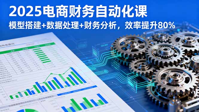 (16021期)2025电商财务自动化课,模型搭建+数据处理+财务分析,效率提升80%-网赚副业网