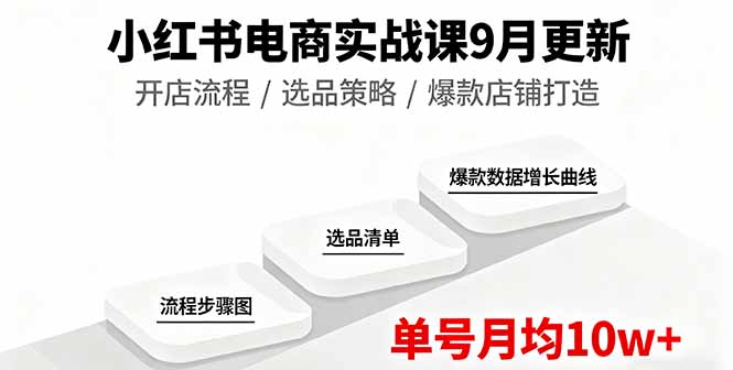 (16120期)小红书电商实战课9月更新,开店流程/选品策略/爆款店铺打造,单号月均10w+-网赚副业网
