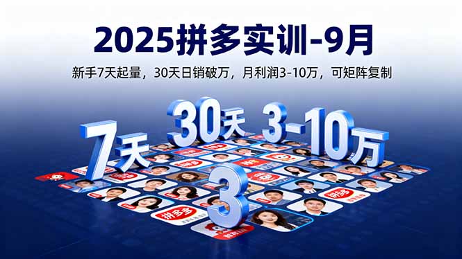 (16008期)2025拼多多实训-9月:新手7天起量,30天日销破万,月利润3-10万,可矩阵复制-网赚副业网