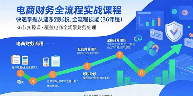 (15883期)电商财务全流程实战课程:快速掌握从建账到报税的全流程技能(36节课)-网赚副业网