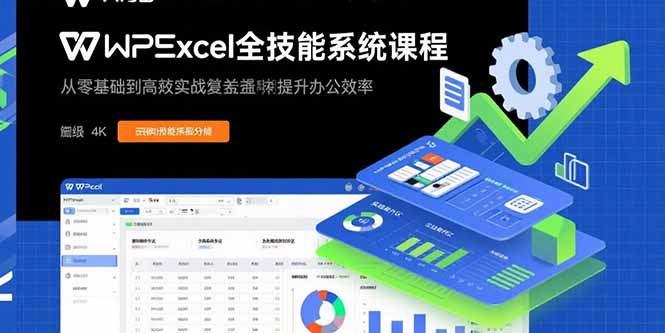 (15873期)WPS Excel全技能系统课程:从零基础到高阶实战全覆盖,全面提升办公效率-网赚副业网