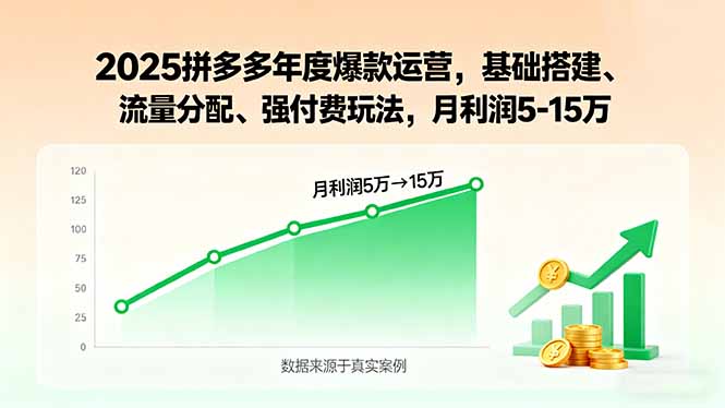 （15973期）2025拼多多年度爆款运营，基础搭建、流量分配、强付费玩法，月利润5-15万-网赚副业网