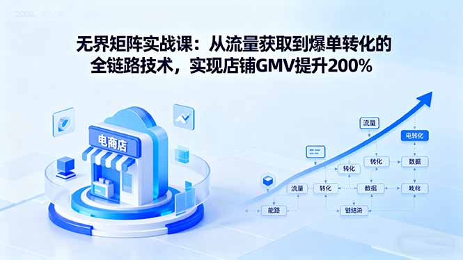 (16104期)无界矩阵实战课:从流量获取到爆单转化的全链路技术,实现店铺GMV提升200%-网赚副业网