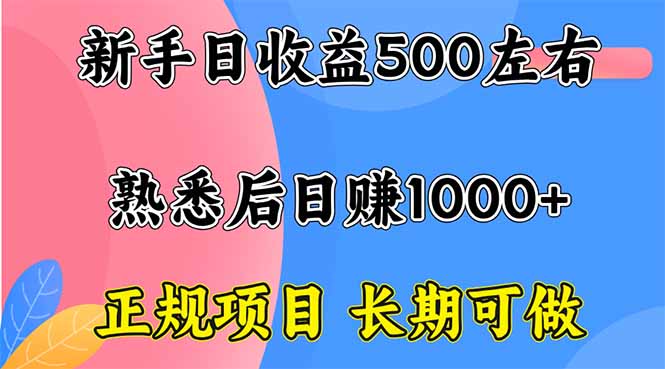 (16132期)新手日收益500+ 正规项目 长期可做-网赚副业网