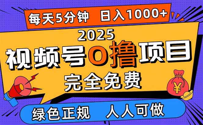 (16388期)2025视频号0撸项目,5分钟一个号,日入1000+,人人可做-网赚副业网