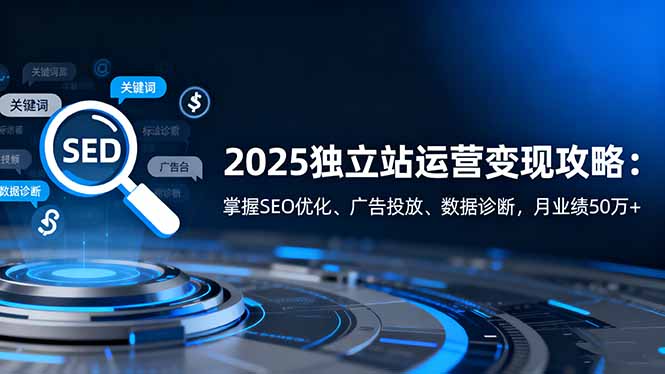 (16371期)2025独立站运营变现攻略:掌握SEO优化、广告投放、数据诊断,月业绩50万+-网赚副业网