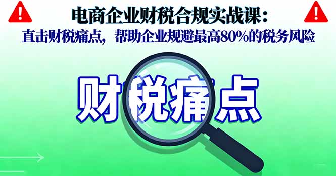(16232期)电商企业财税合规实战课,直击财税痛点,帮助企业规避最高80%的税务风险-网赚副业网