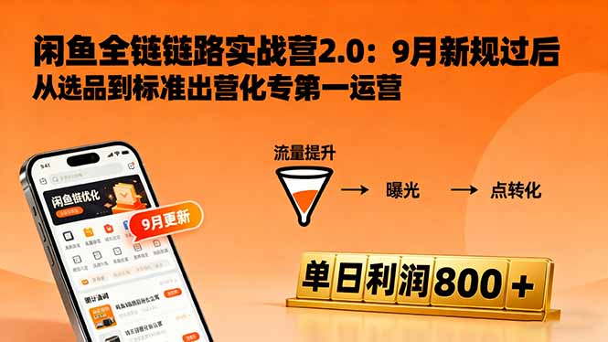 (16265期)闲鱼变现课3.0:掌握链接优化、流量提升、商业变现,单日利润800+-网赚副业网
