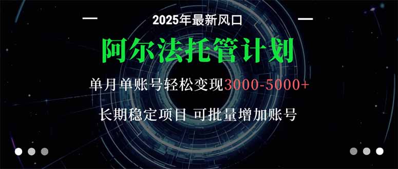 (16360期)阿尔法托管计划 单账号月入3000-5000,长期稳定项目,新手小白轻松上手。-网赚副业网