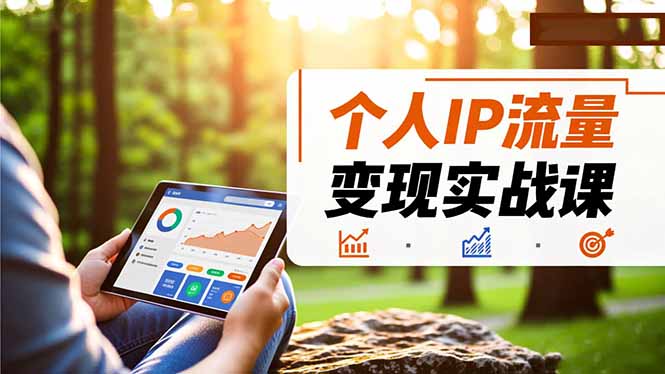 (16525期)个人IP流量变现实战课,涵盖多平台引流、打造个人IP并实现稳定流量变现-网赚副业网