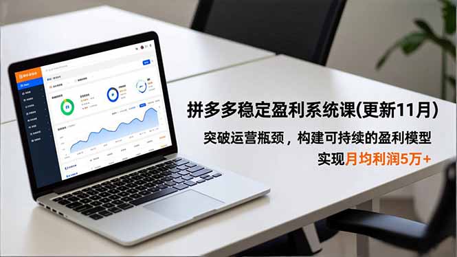 (16641期)拼多多稳定盈利系统课(更新11月),突破运营瓶颈,构建可持续的盈利模型,实现月均利润5万+-网赚副业网