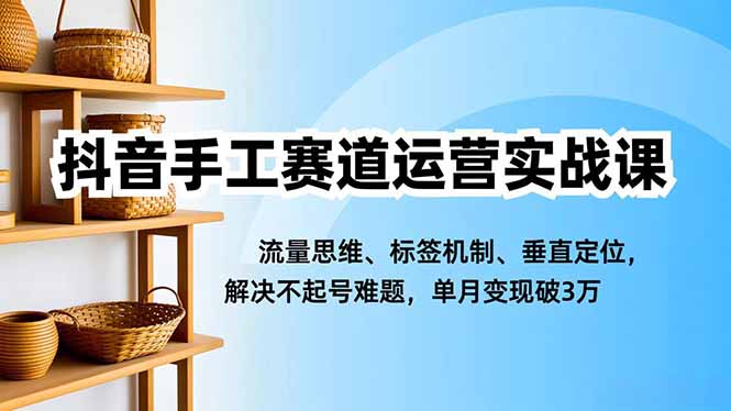 (16667期)抖音手工赛道运营实战课,流量思维、标签机制、垂直定位,解决不起号难题,单月变现破3万-网赚副业网