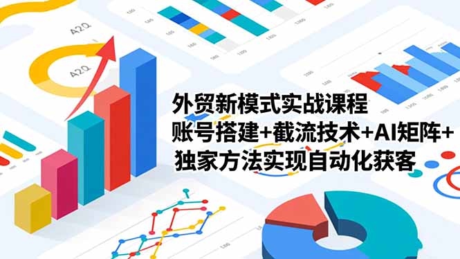 (16496期)外贸新模式实战课程,账号搭建+截流技术+AI矩阵+独家方法实现自动化获客-网赚副业网