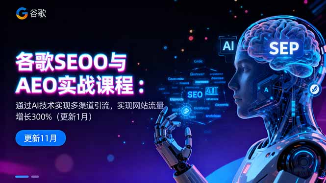 (16463期)谷歌SEO与AEO实战课程:通过AI技术实现多渠道引流,实现网站流量增长300%-网赚副业网