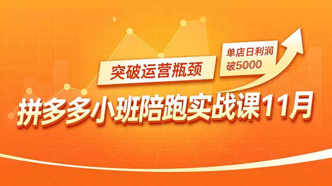 (16654期)拼多多小班陪跑实战课11月,强付费矩阵、原价活动、暗券引流,突破运营瓶颈,单店日利润破5000-网赚副业网