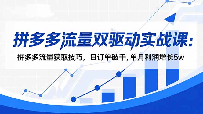 （16563期）拼多多流量双驱动实战课：拼多多流量获取技巧，日订单破千,单月利润增长5w-网赚副业网