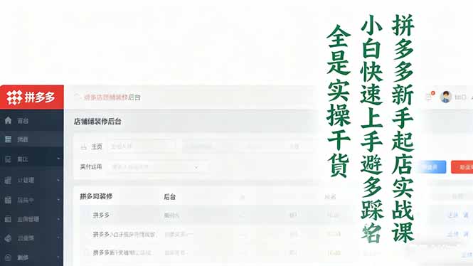 (16584期)拼多多新手起店实战课:小白快速上手拼多多运营,避开踩坑,全是实操干货-网赚副业网