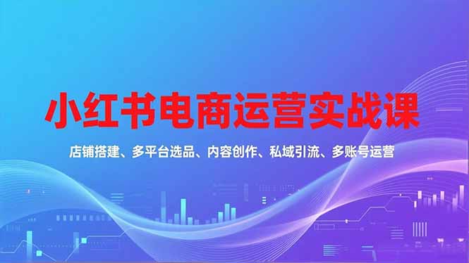 (16695期)小红书电商运营实战课,店铺搭建、多平台选品、内容创作、私域引流、多账号运营等玩法-网赚副业网