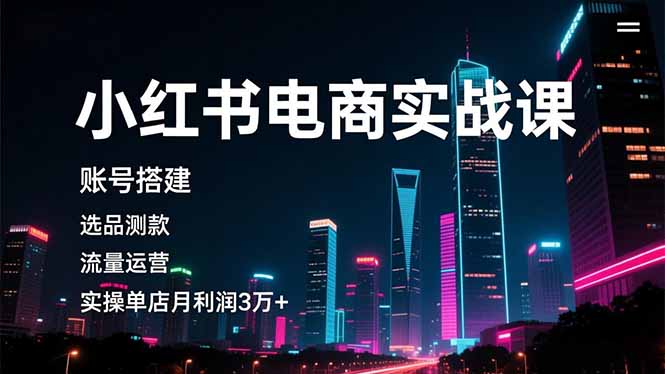 (16615期)小红书电商实战课,账号搭建,选品测款,流量运营,实操月利润3万+-网赚副业网