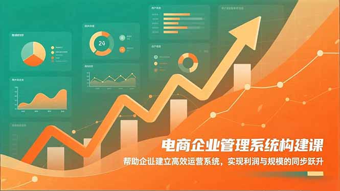 (16643期)电商企业管理系统构建课:帮助企业建立高效运营系统,实现利润与规模的同步跃升-网赚副业网