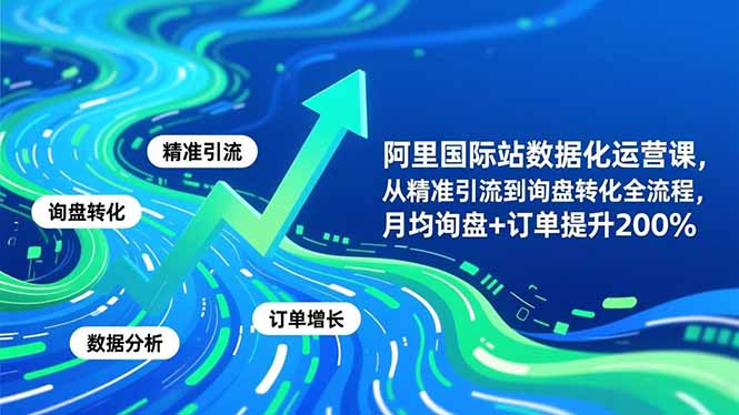 (16660期)阿里国际站数据化运营课-11月,从精准引流到询盘转化全流程,月均询盘+订单提升200%-网赚副业网