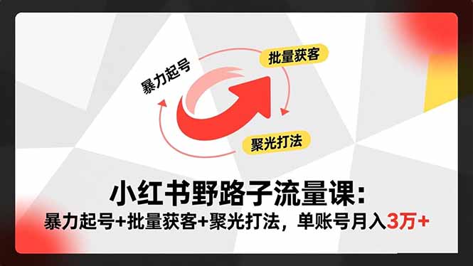 (16513期)小红书野路子流量课:暴力起号+批量获客+聚光打法,单账号月入3万+-网赚副业网