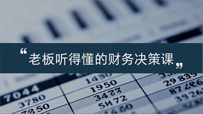 （16830期）老板能听得懂的财务决策课，报表解读、数据洞察、风险识别，用财务驱动业务增长-网赚副业网