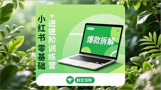 (16801期)小红书零基础+高阶训练营:安全养号、爆款拆解、长效运营,实现稳定涨粉与变现-网赚副业网
