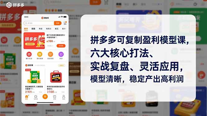 (16952期)拼多多可复制盈利模型课,六大核心打法、实战复盘、灵活应用,模型清晰,稳定产出高利润-网赚副业网