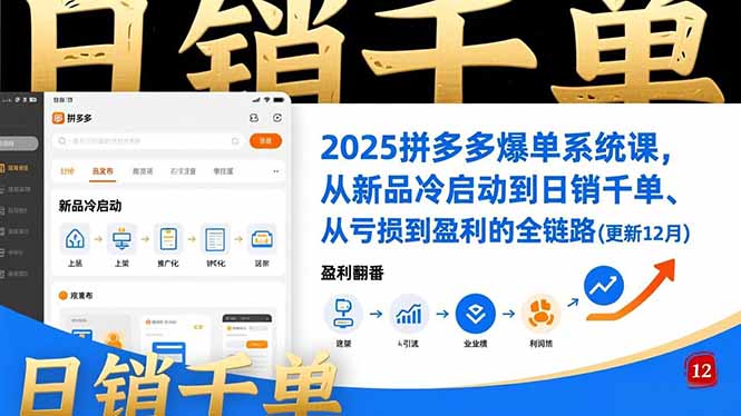 (16894期)2025拼多多爆单系统课,从新品冷启动到日销千单、从亏损到盈利的全链路(更新12月)-网赚副业网
