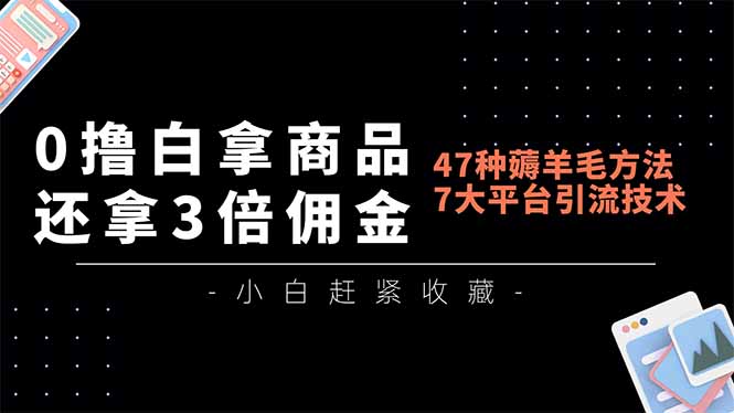 (16780期)0撸白拿商品,还拿3倍佣金,47种薅羊毛方法,7大平台全方位引流技术教学,精专月入过万-网赚副业网