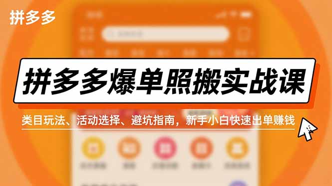 (16838期)拼多多爆单照搬实战课,类目玩法、活动选择、避坑指南,新手小白快速出单赚钱-网赚副业网
